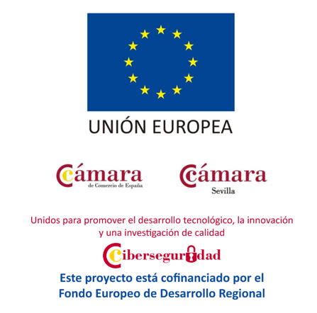 Ciberseguridad Cámara